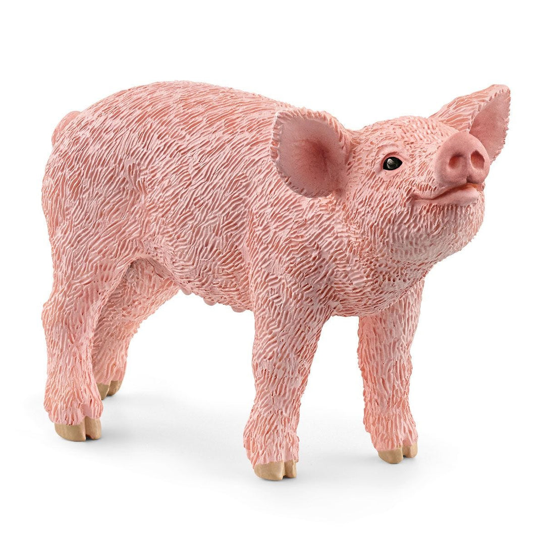 Cerdito