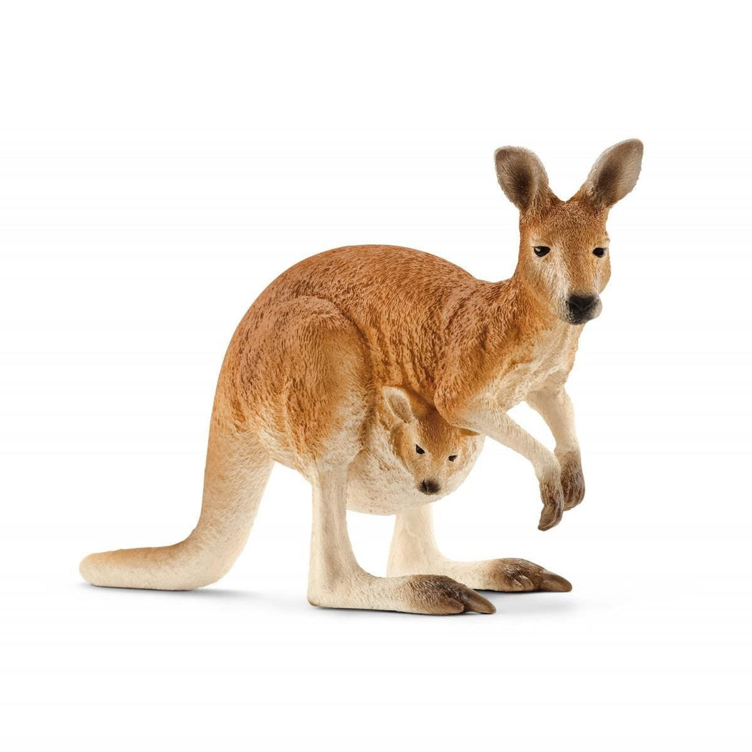 Canguro