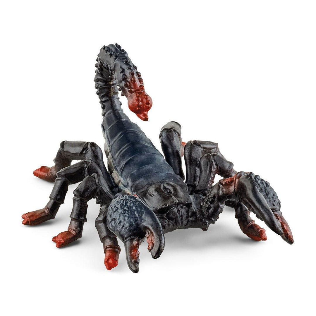 escorpion_emperador