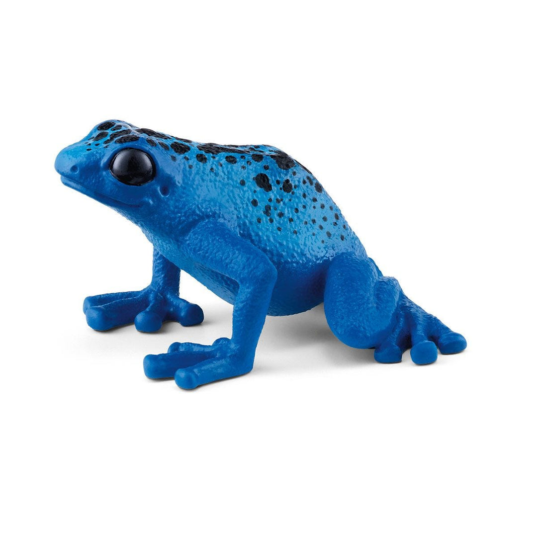 Rana flecha azul