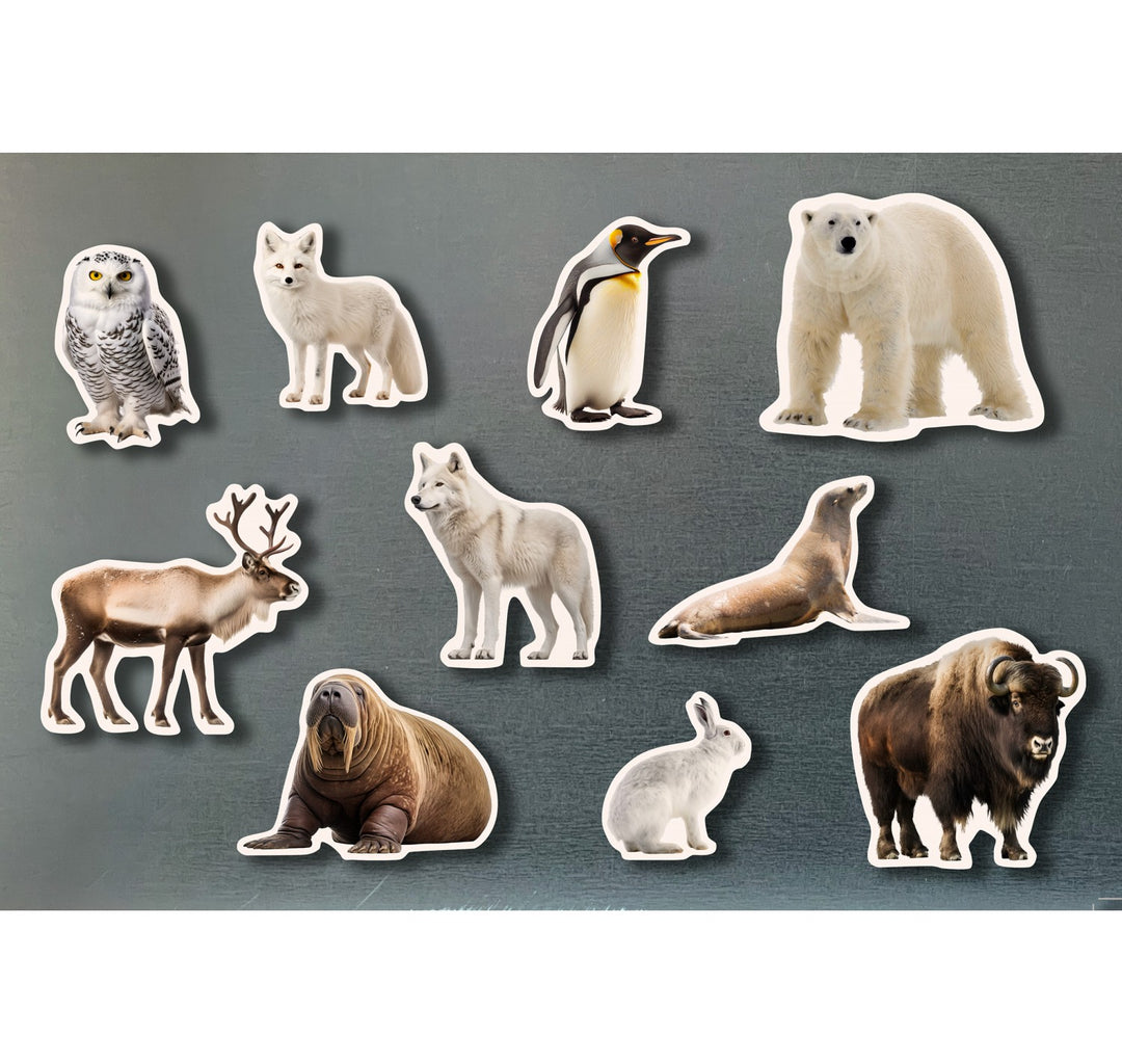 Piezas magnéticas de bambú de animales polares