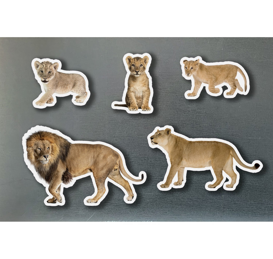 Piezas magnéticas de bambú Família de Leones