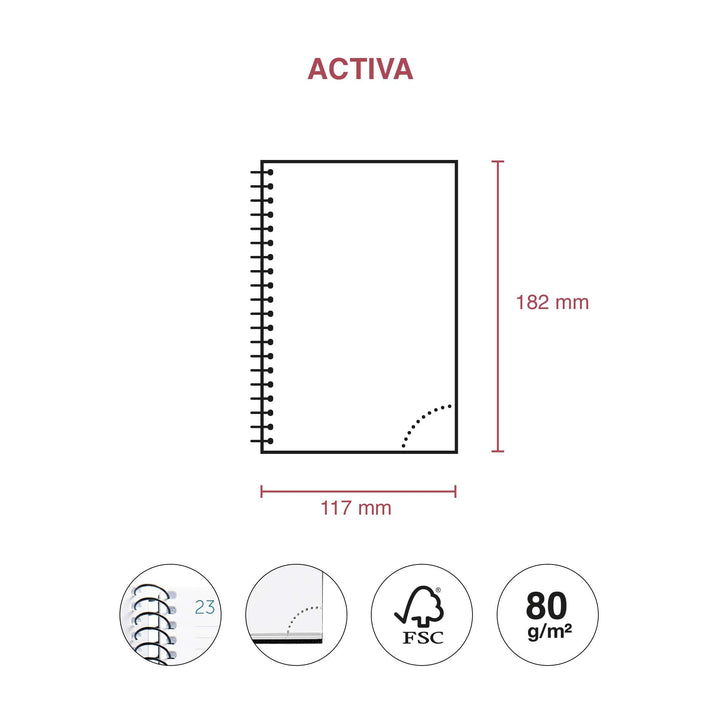 Agenda activa S/V-cat calm arena 26