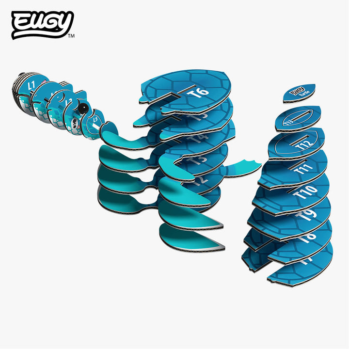 038 Turtle (Tortuga de mar)