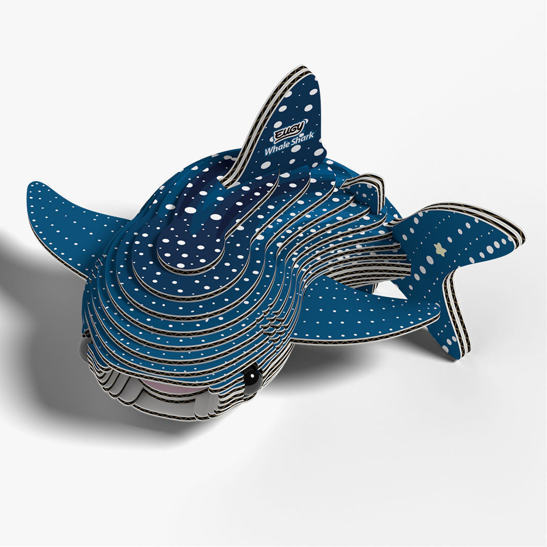 049 Whale Shark (Tiburón Ballena)
