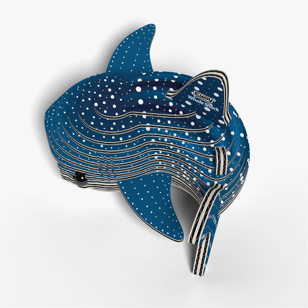 049 Whale Shark (Tiburón Ballena)
