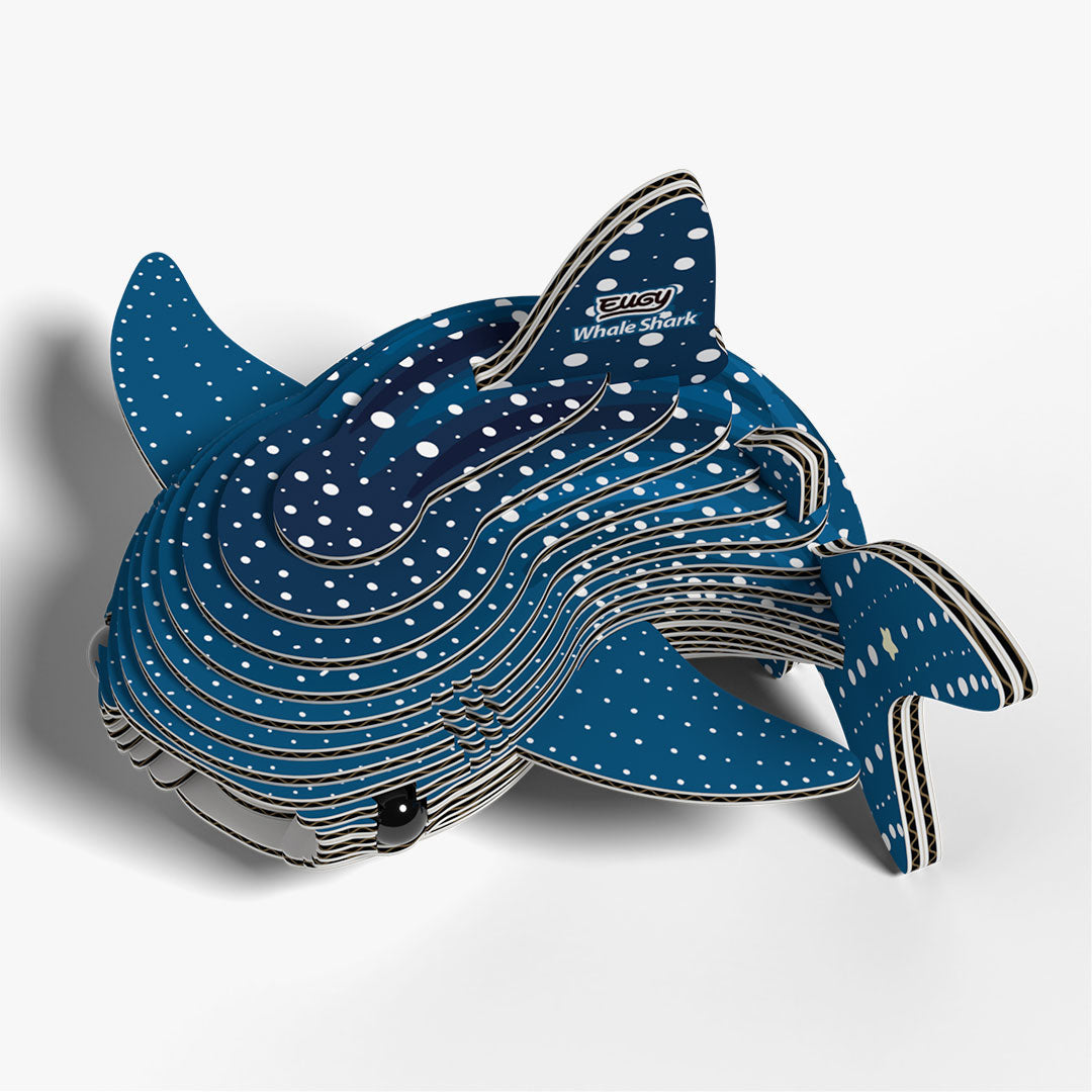 049 Whale Shark (Tiburón Ballena)