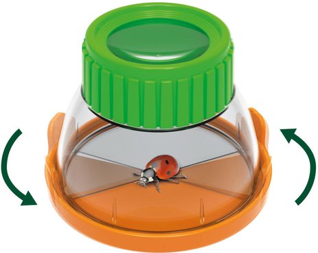 Terrario