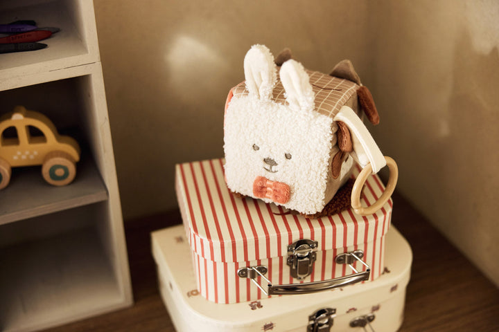Cubo de actividades Animal Friends