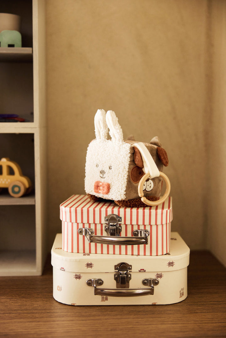 Cubo de actividades Animal Friends