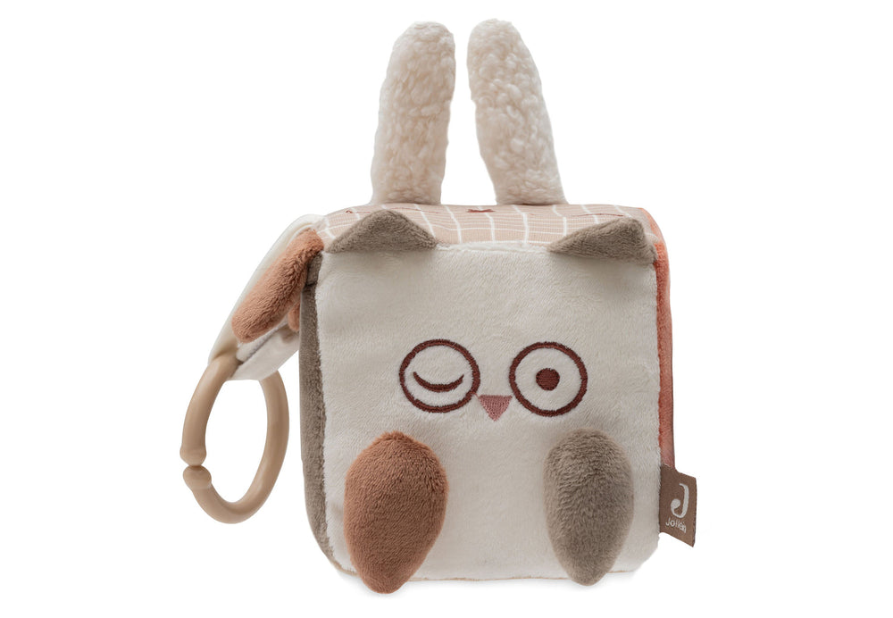 Cubo de actividades Animal Friends