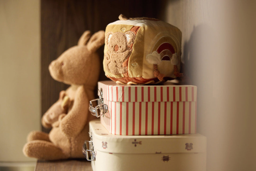 Cubo de actividades Kangaroots
