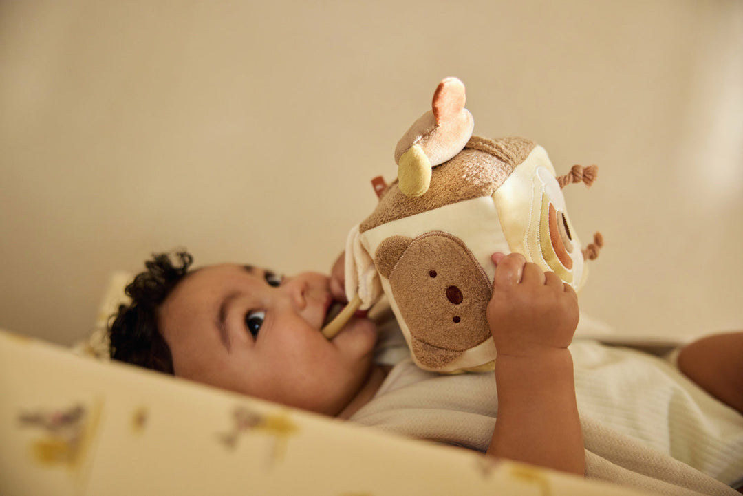 Cubo de actividades Kangaroots