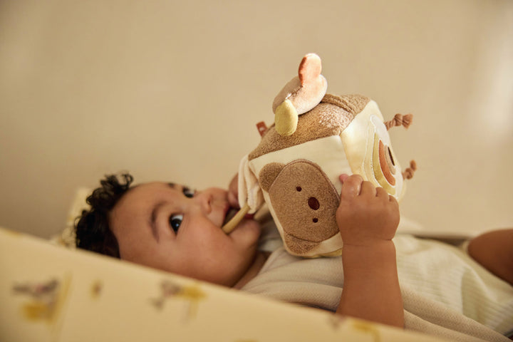 Cubo de actividades Kangaroots