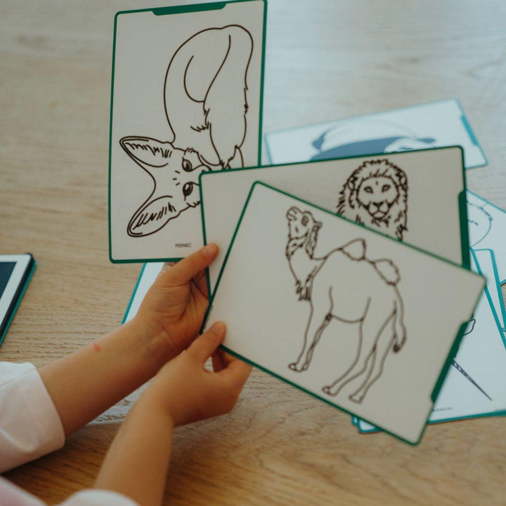 Plantillas Kidydraw mini Animals around the world / Oceans & Pirates