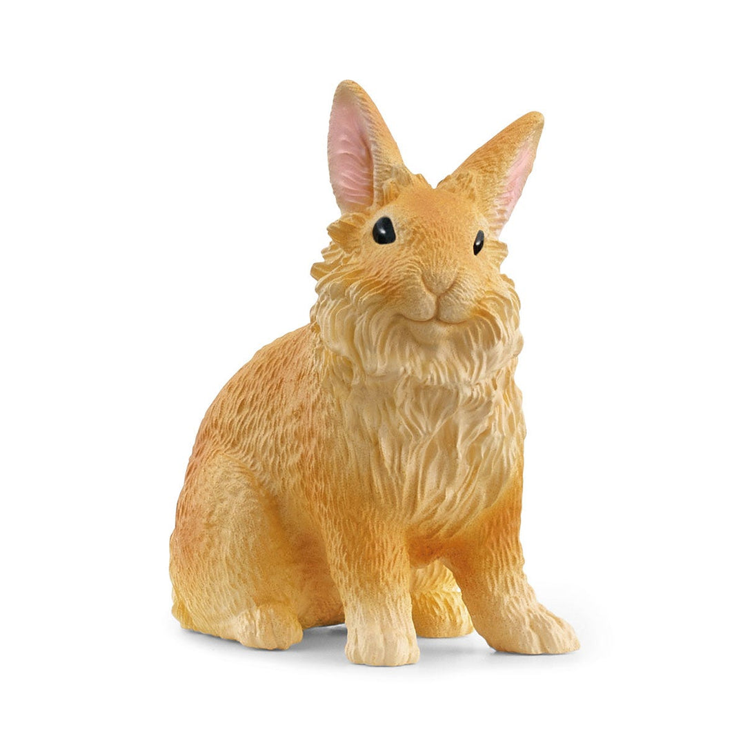 Conejo cabeza de león