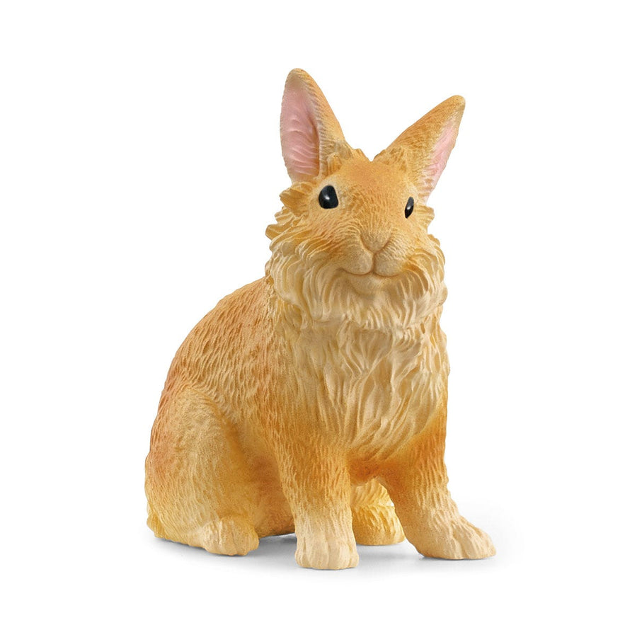 Conejo cabeza de león