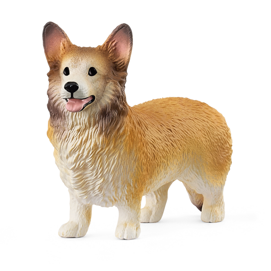 Corgie galés