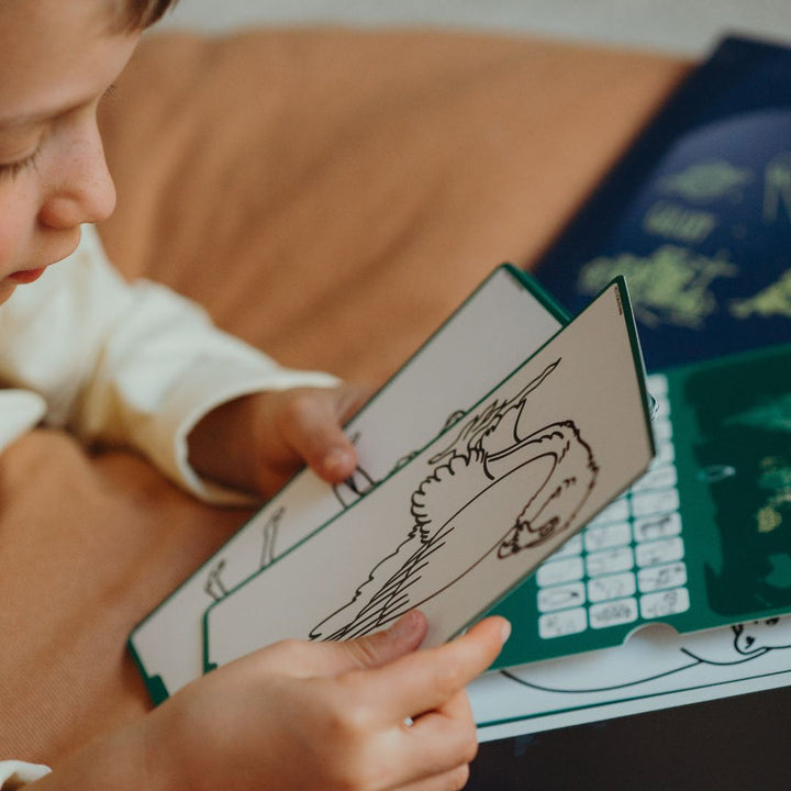 Plantillas Kidydraw mini Animals around the world / Oceans & Pirates