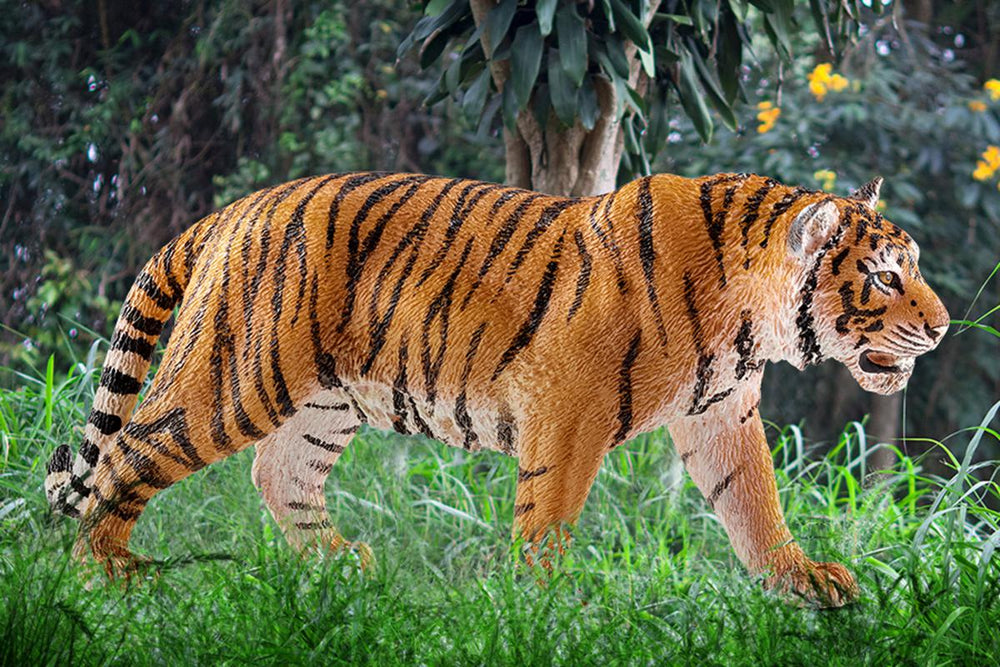 Tigre