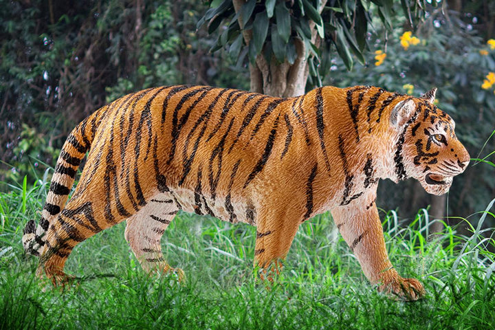 Tigre