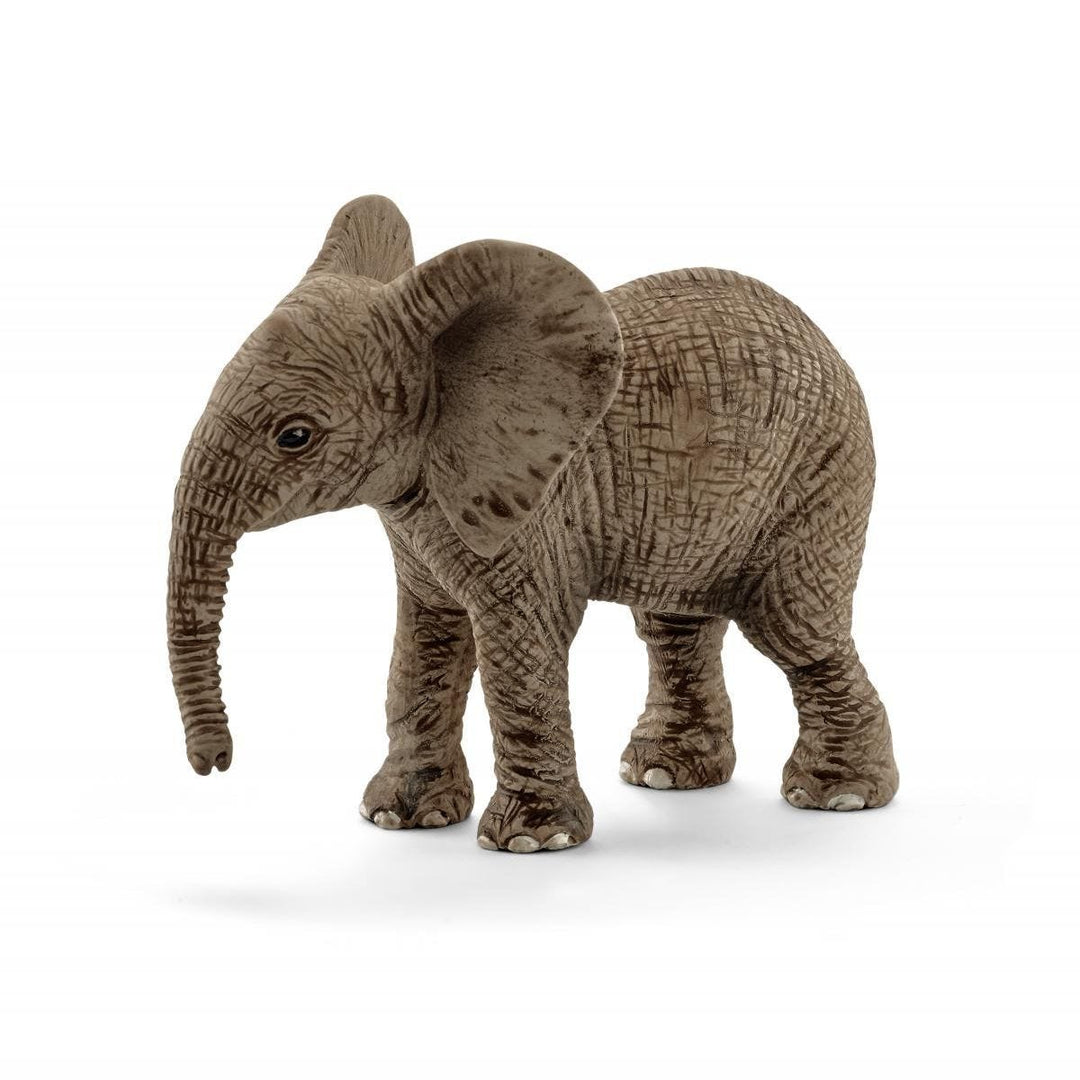 Cría de elefante africano