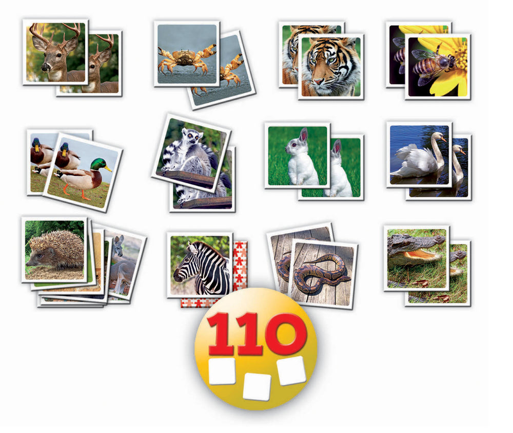 Identic memo game Natura