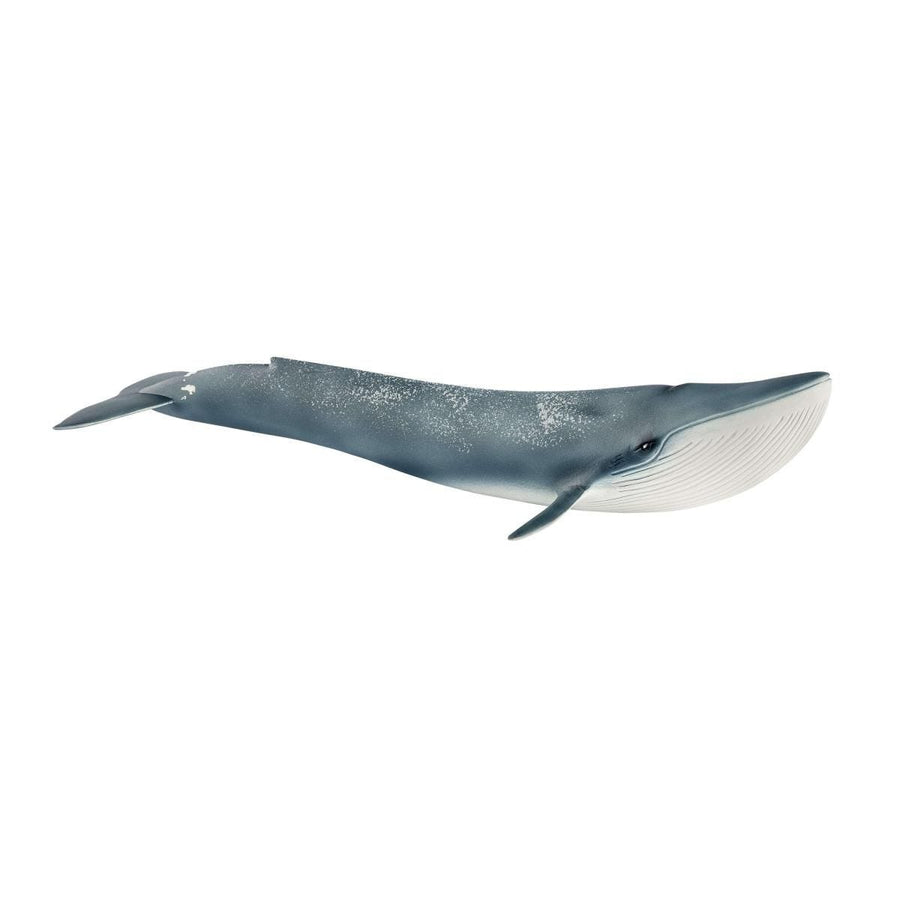Ballena azul