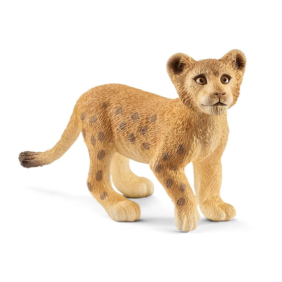 Cachorro de león