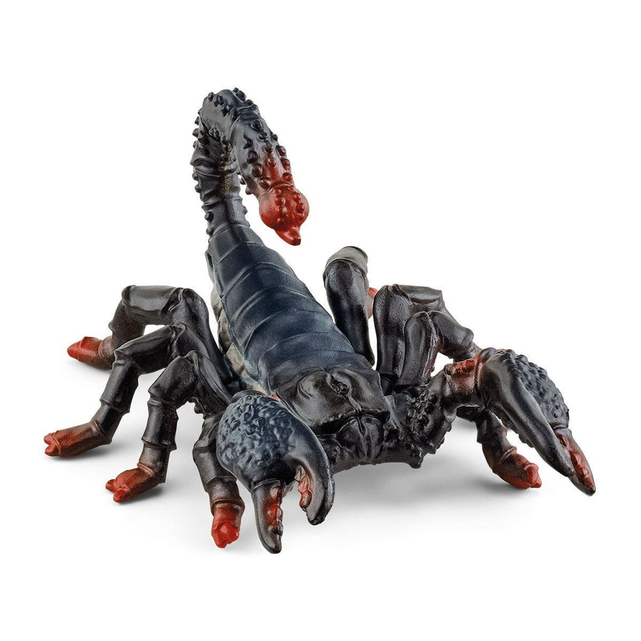 escorpion_emperador