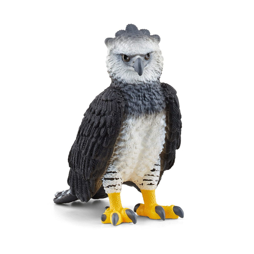 Águila harpía