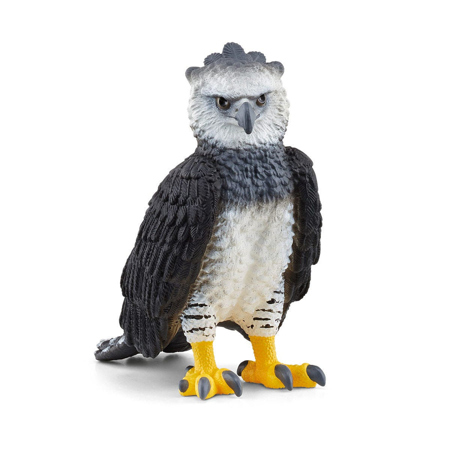 Águila harpía