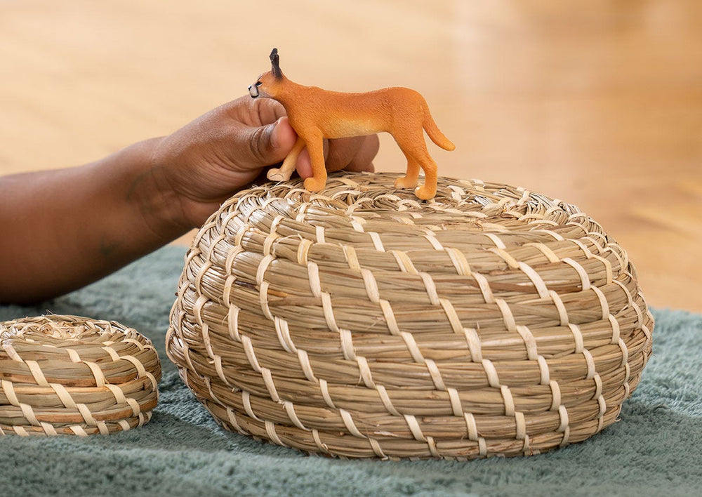 Caracal hembra