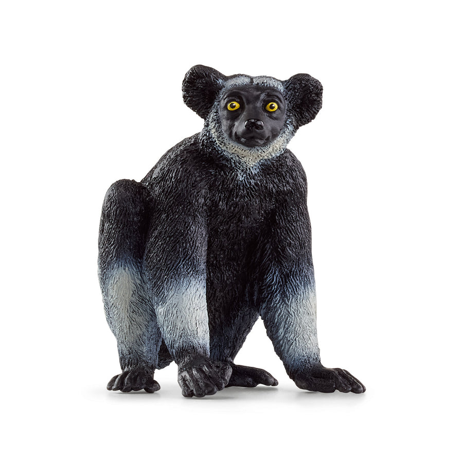 Indri (Wild life)