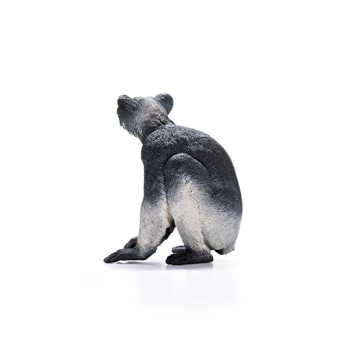 Indri (Wild life)