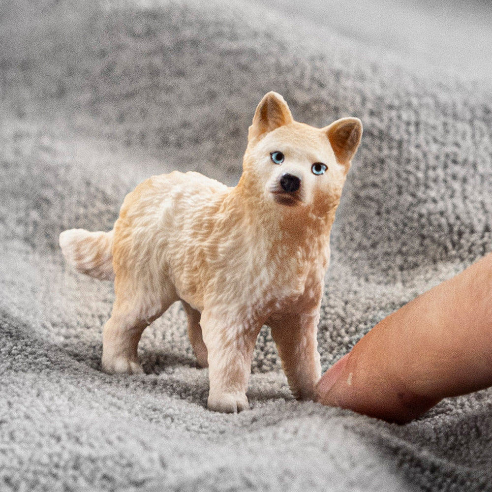 Cachorro de lobo ártico