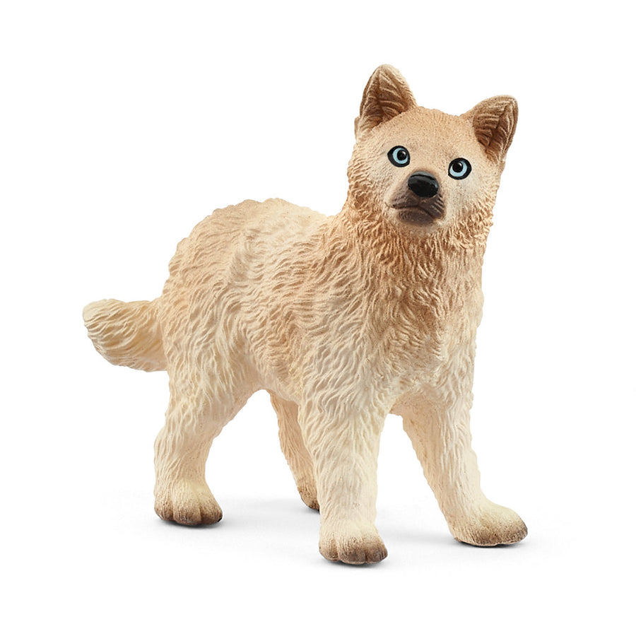 Cachorro de lobo ártico