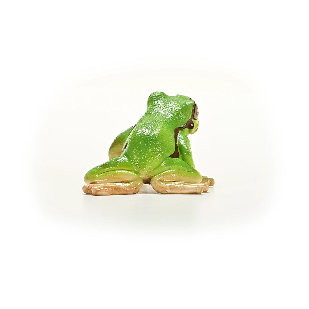 Rana arborícola europea