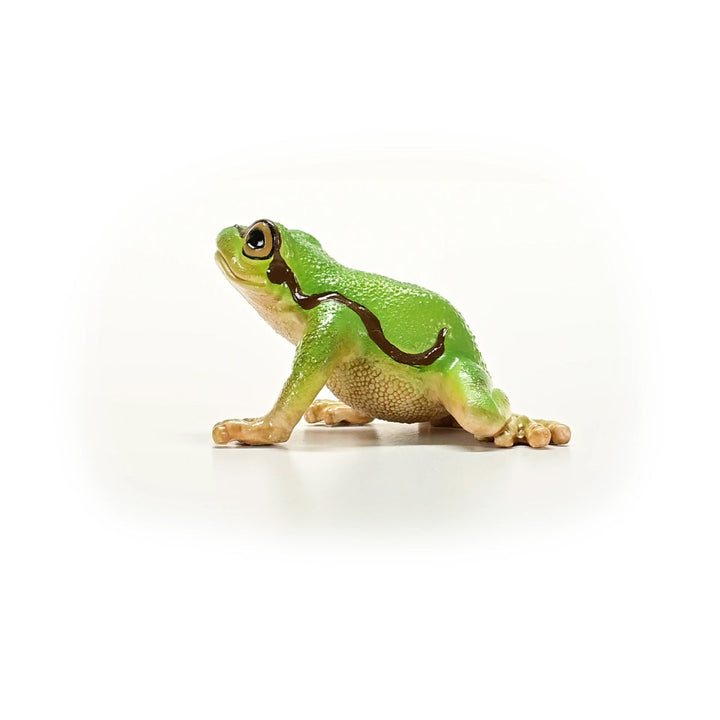 Rana arborícola europea