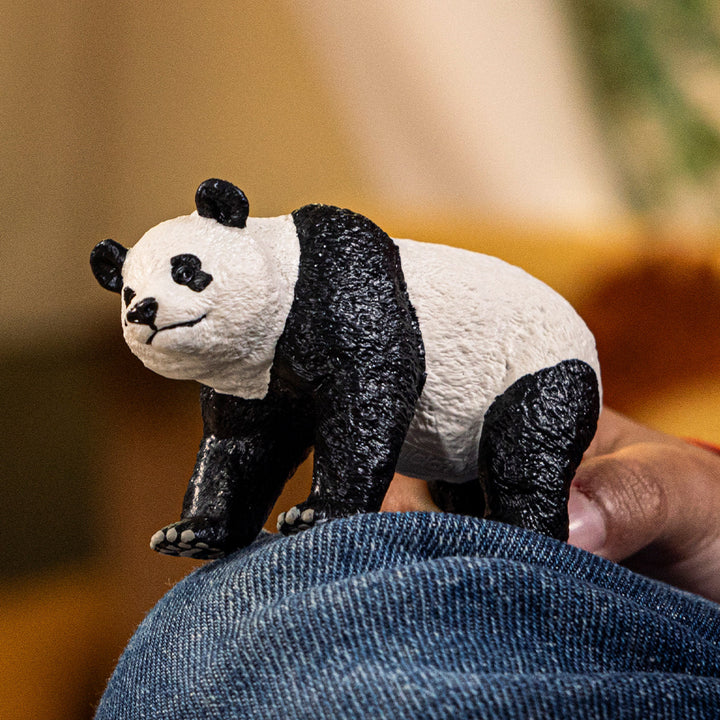 Panda gigante