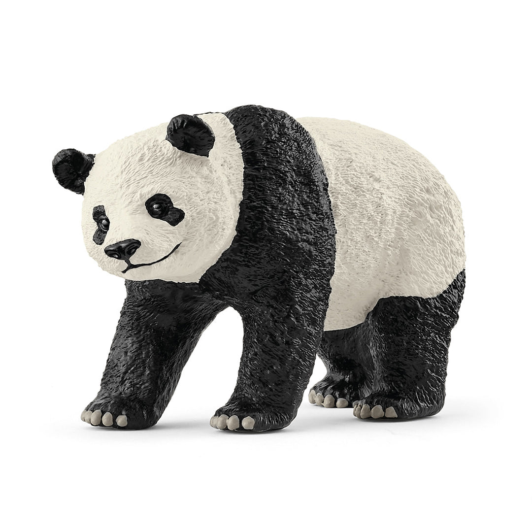 Panda gigante