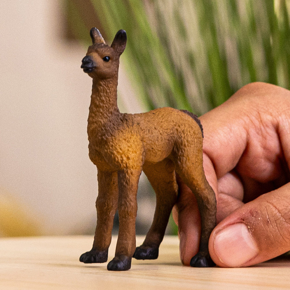 Potro de llama