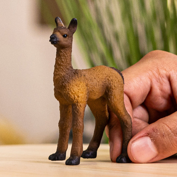 Potro de llama