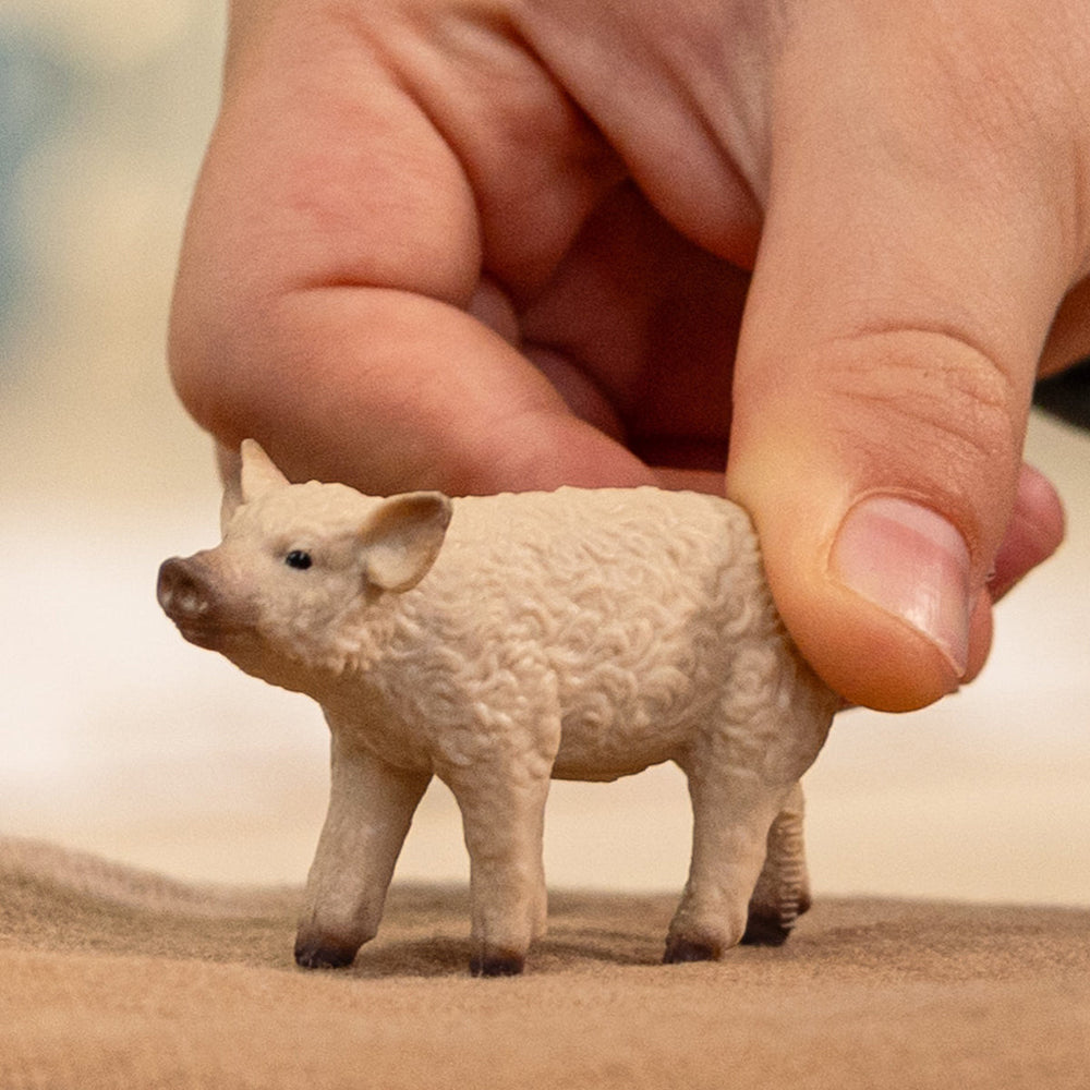 Cerdito lanudo