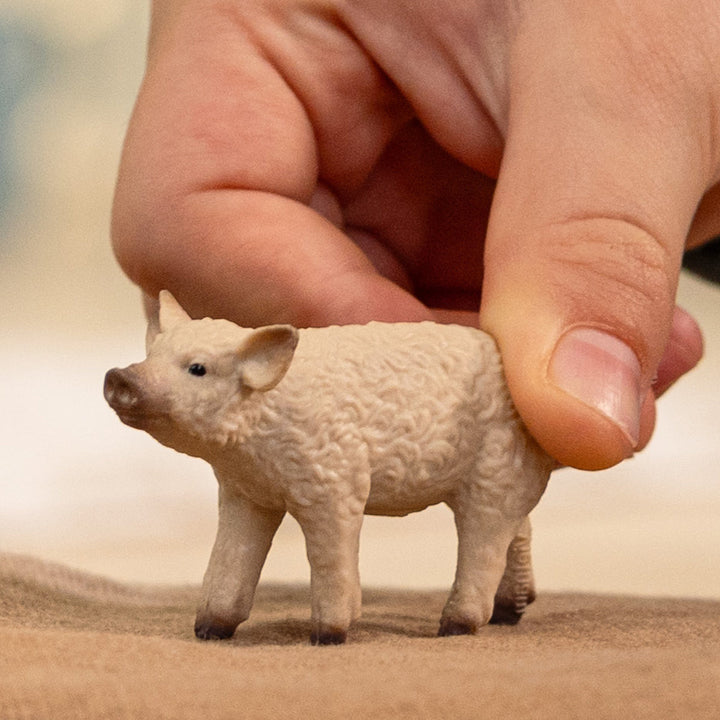 Cerdito lanudo