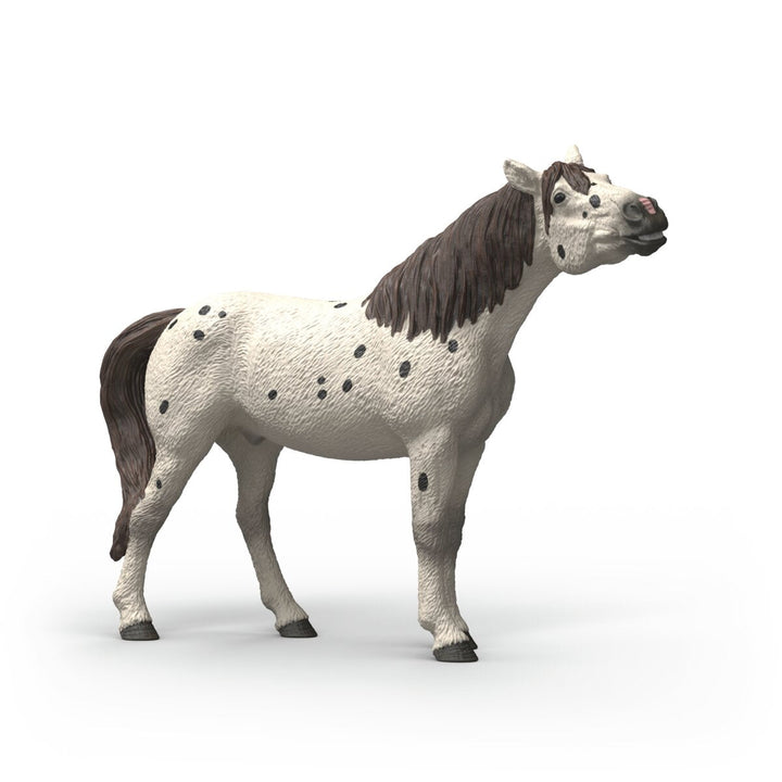 Caballo Knabstrupper