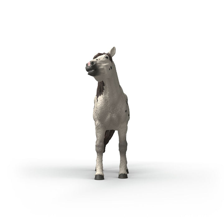 Caballo Knabstrupper