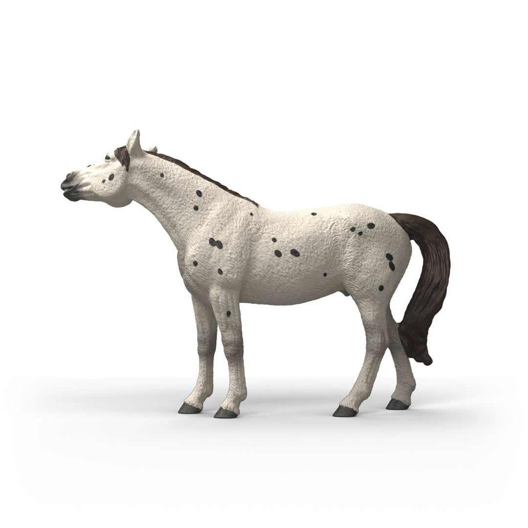 Caballo Knabstrupper