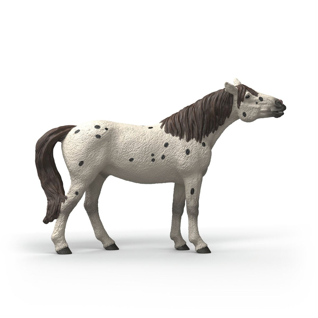 Caballo Knabstrupper