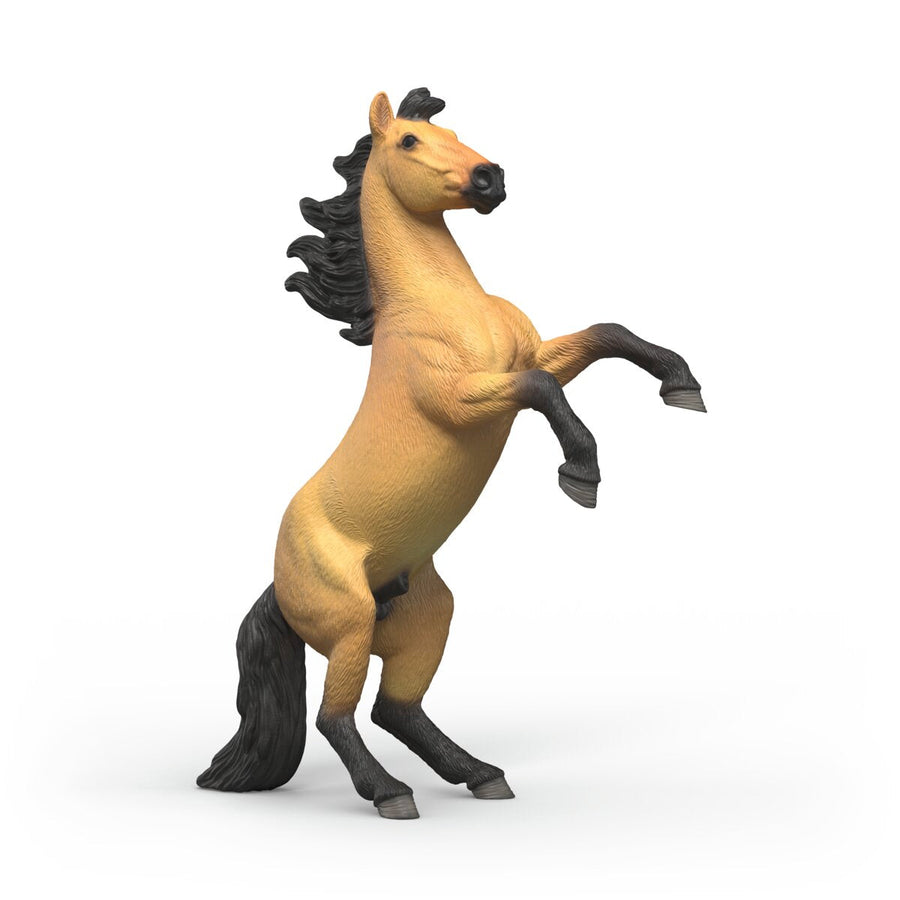 Semental Mustang